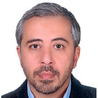 Kamran B. Lankarani